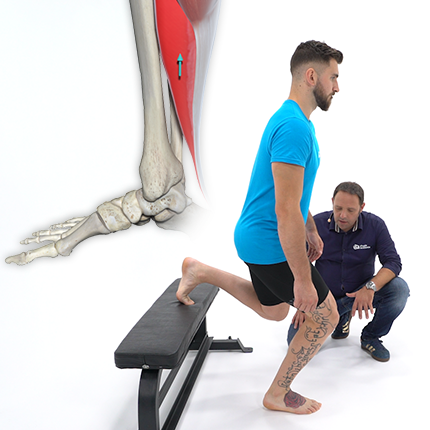 Physiopathologie,  bilan et auto-traitement posturo-fonctionnel du pied - Vendredi 1 &  samedi 2 décembre 2023 (Béziers)