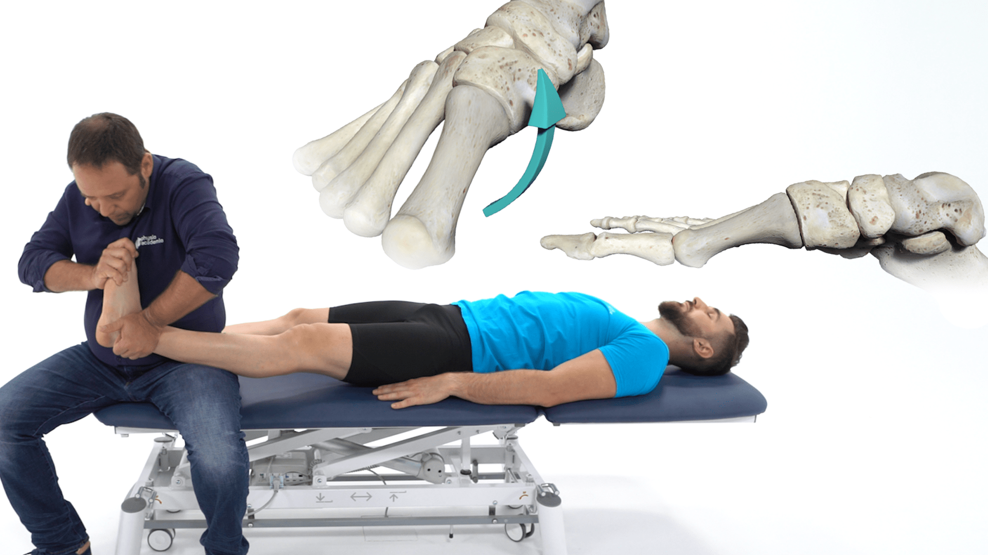 Module 2 : Traitement manuel posturo-fonctionnel du pied