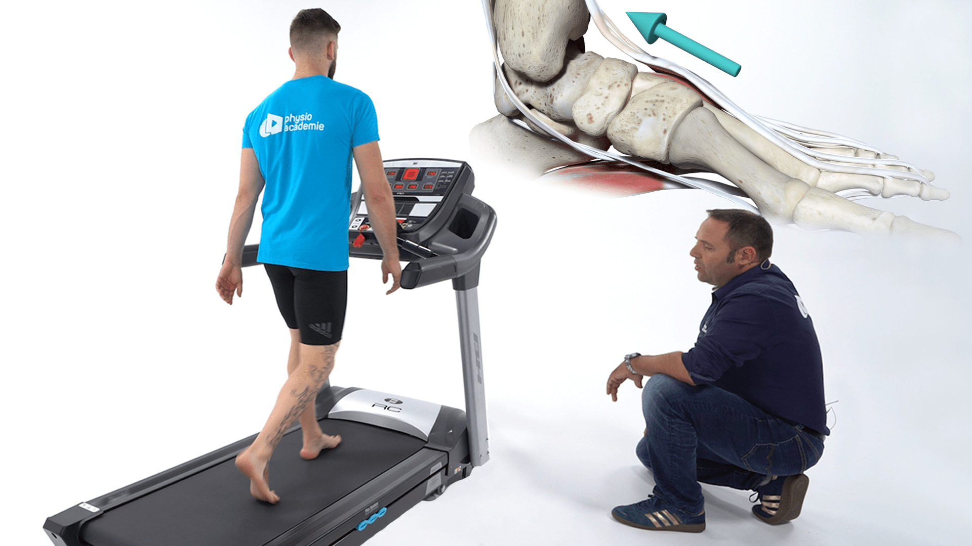 Module 1 : Physiopathologie et bilan posturo-fonctionnel du pied