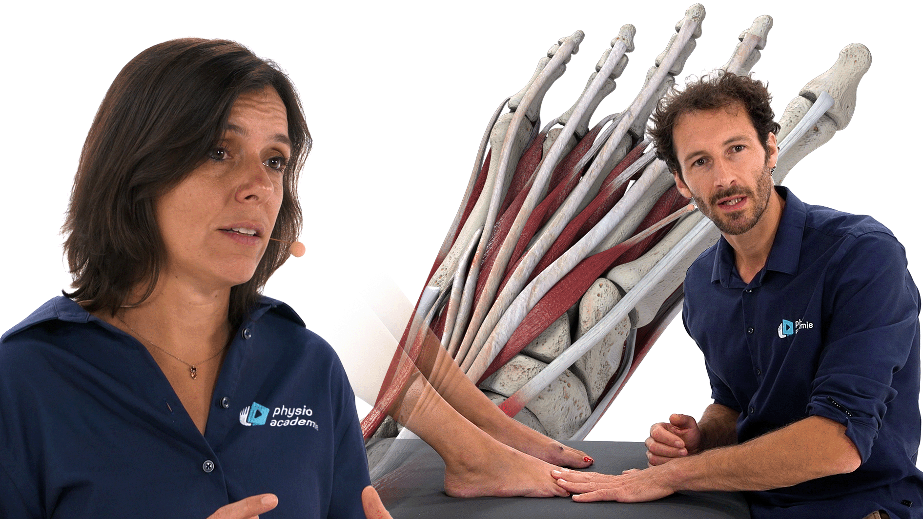L’Hallux valgus et les déformations d’avant-pied