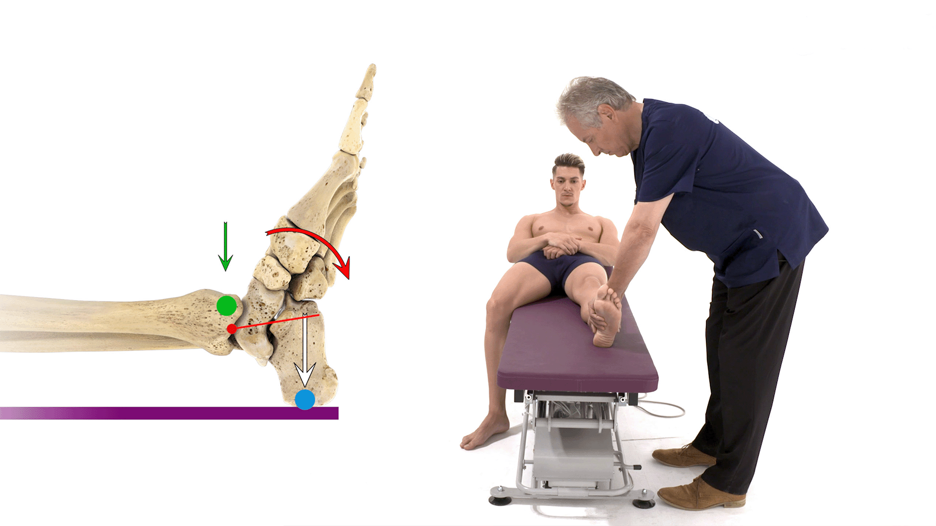 Ostéopathie structurelle : bases techniques et techniques de base