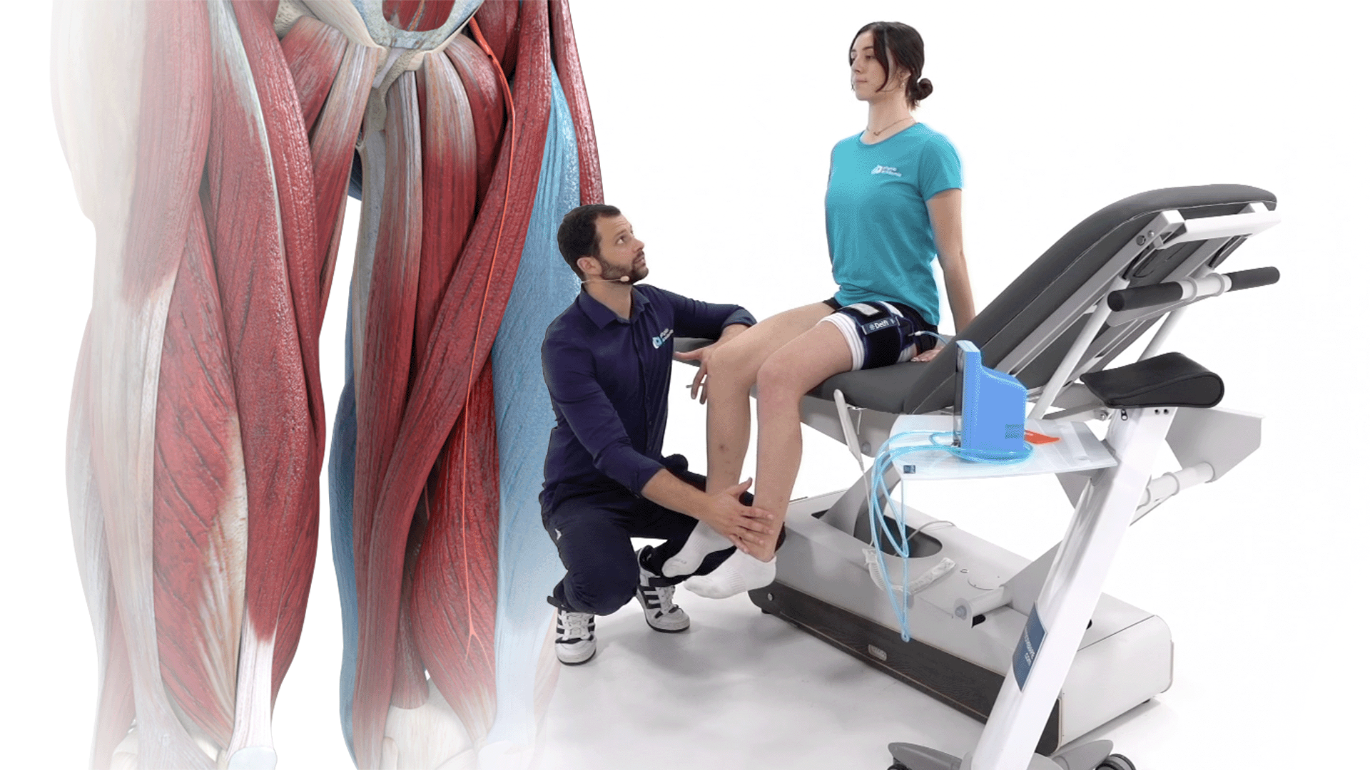 Blood Flow Restriction Training : principes et applications en rééducation