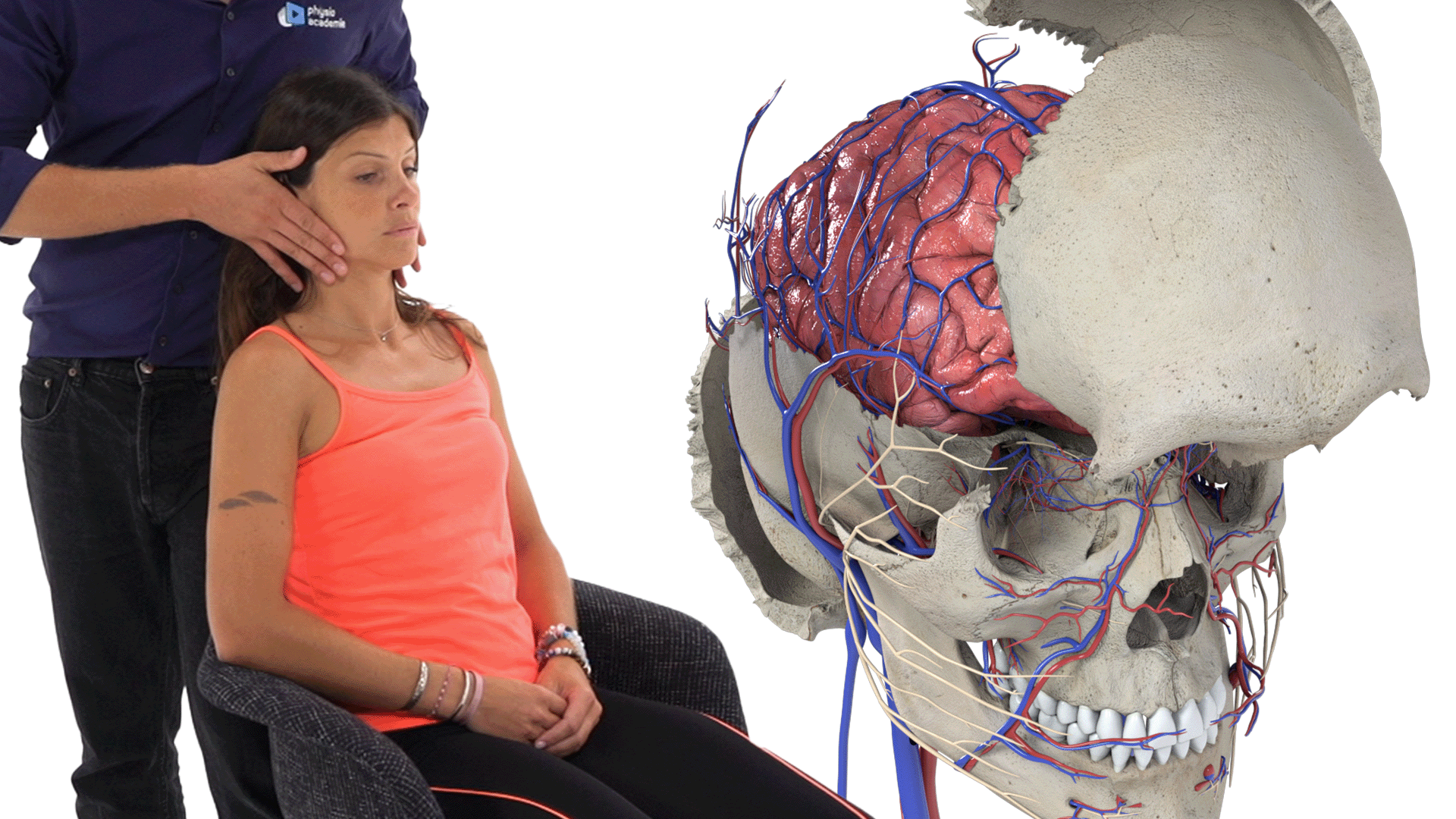 Céphalées chroniques d'origine musculo-squelettique de l'adulte : évaluation et prise en charge kinésithérapique