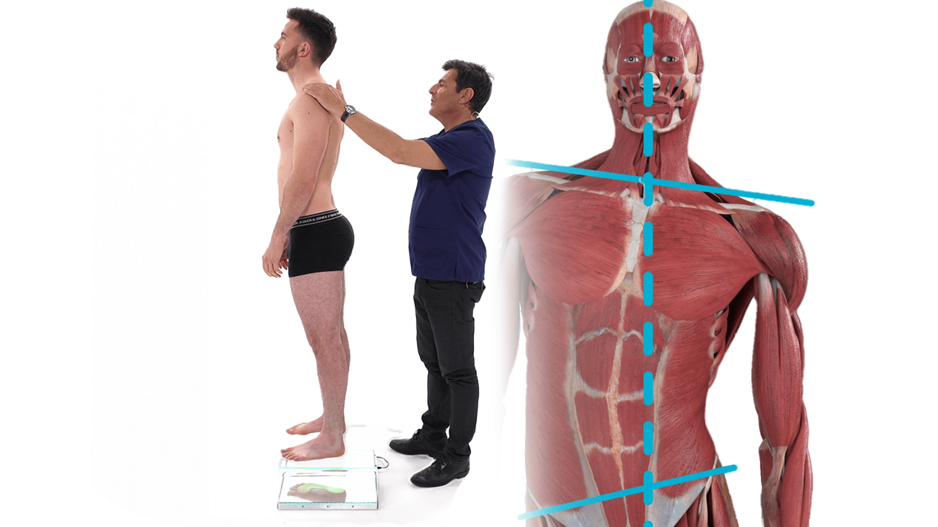 Approche clinique de la posturologie
