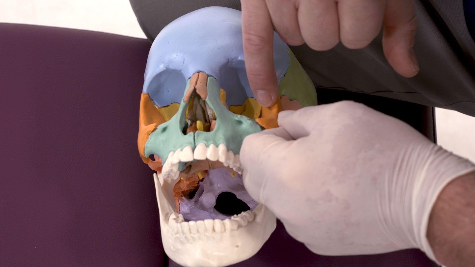Les prises et techniques du malaire ou zygoma