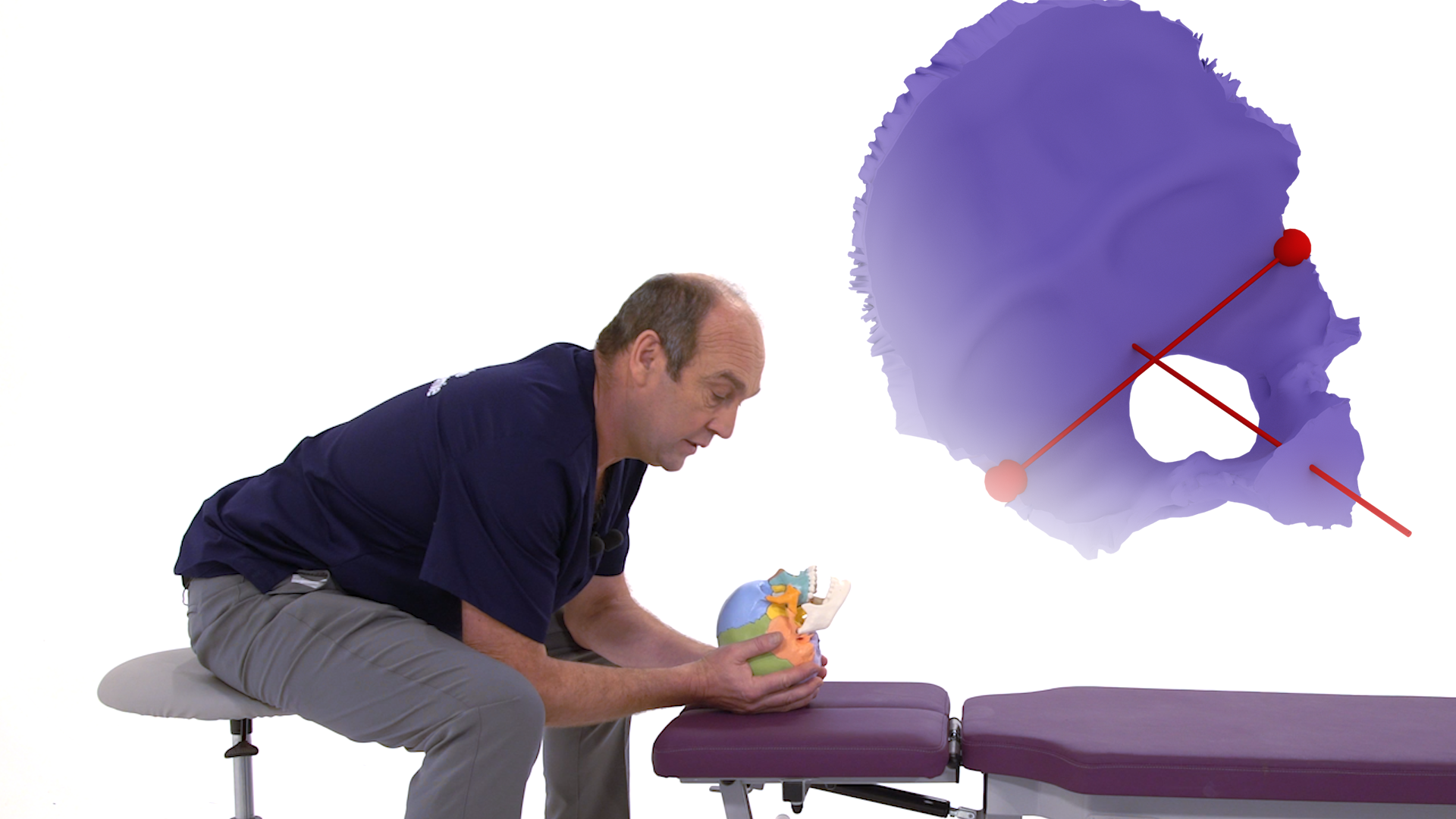 Les différentes prises de l'os occipital