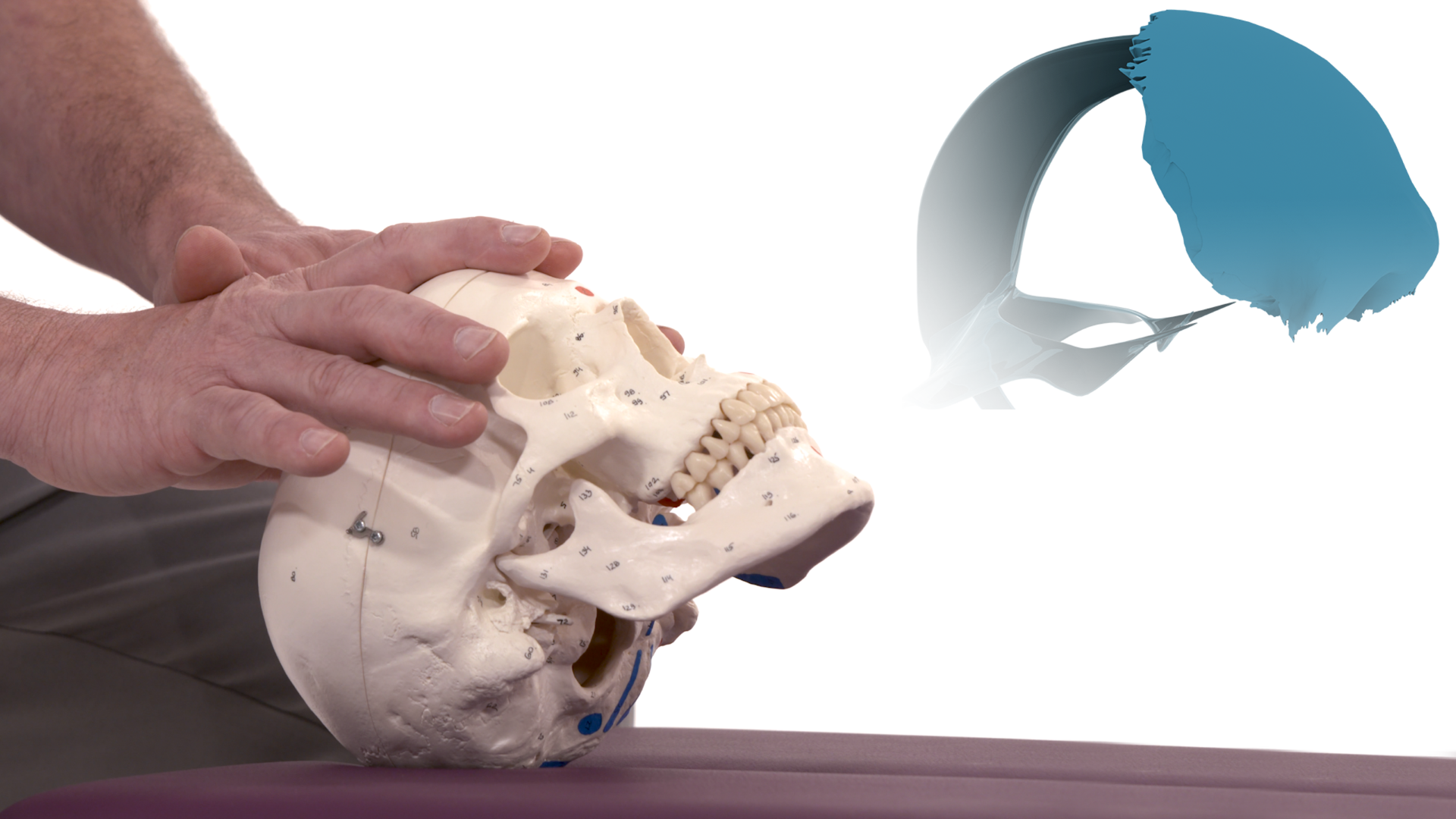 Les prises et techniques du frontal