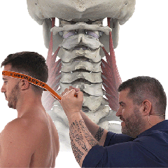 Travail actif haute intensité du rachis cervical