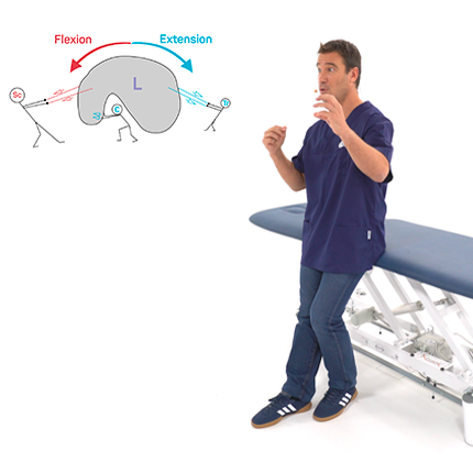 Anatomie du poignet