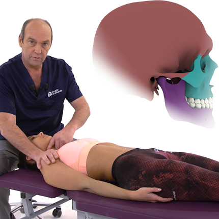 Les prises et techniques de la mandibule