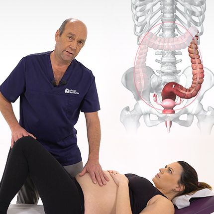 Le travail du ventre de la femme enceinte.