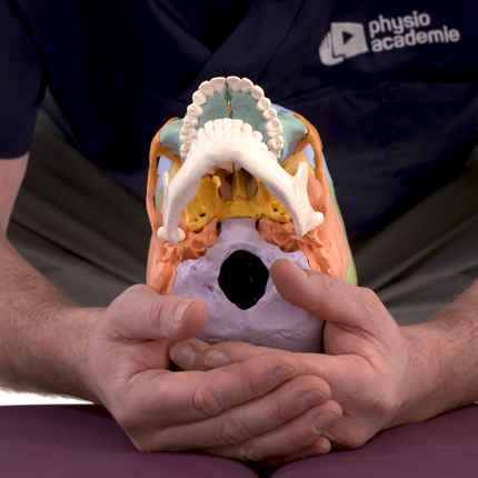 Les différentes techniques intra-osseuses de l'occipital