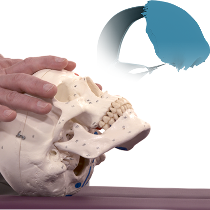 Les prises et techniques du frontal