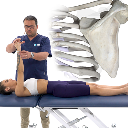 La tendinopathie