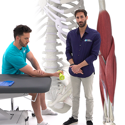 Tendinopathies et syndromes canalaires du coude