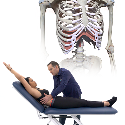 BPCO : Éducation et Réhabilitation respiratoire 