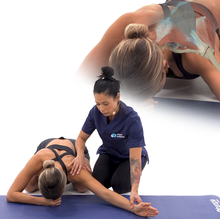 Tendinopathie de la coiffe des rotateurs - Phase 2