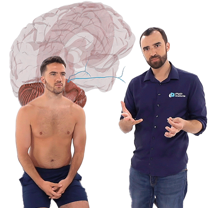 Tests orthopédiques d'exclusion
