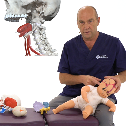 Bilan de la sphere cranio thoracique