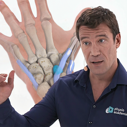 Biomécanique et anatomie fonctionnelle du poignet et de la main