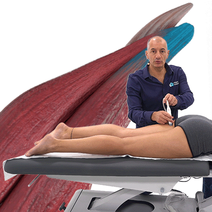 Lésion musculaire : échographie ischio-jambiers