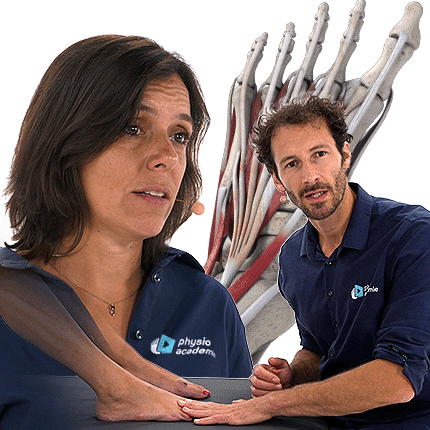 L’Hallux valgus et les déformations d’avant-pied