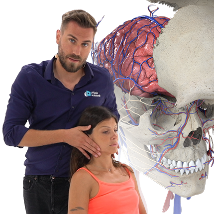 Compréhension et traitement des céphalées